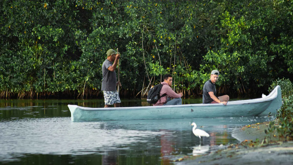 A traditional wooden canoe gliding through narrow mangrove tunnels in La Boquilla, Cartagena, Colombia