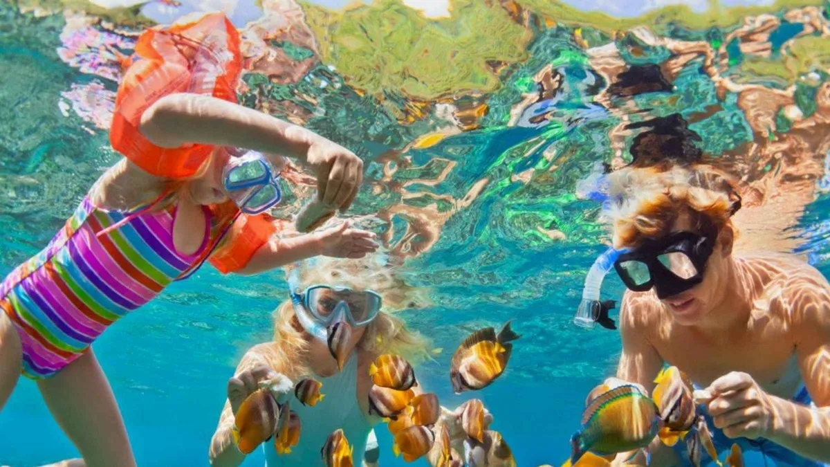 Snorkelers exploring a coral reef near the Rosario Islands on a 6-stop speedboat tour from Cartagena, Colombia